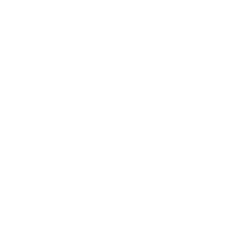 Gate System icon